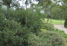 Albion Parkresidential-landscaping-35.jpg; ?>