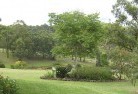 Albion Parkresidential-landscaping-40.jpg; ?>
